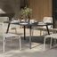 The Ballo x Sarek Dining Bundle - Gallery View 1 of 7.