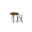 The Amoeba x Mara Side Table Bundle - Gallery View 1 of 6.