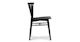 Rus Black Dining Chair - Gallery View 6 of 15.