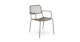 Manna Grove Green Dining Chair - Gallery View 1 of 11.