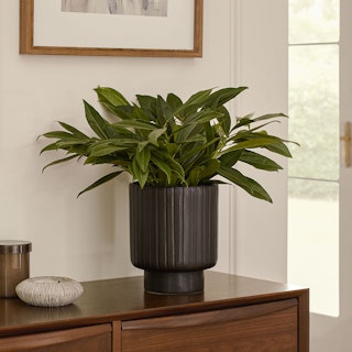 Stedum Matte Black Large Planter