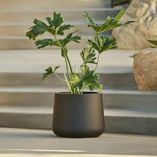 Tuva Indoor/Outdoor Wide Planter - Black
