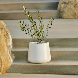 Tuva Indoor/Outdoor Narrow Planter - White
