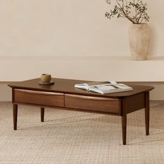 Lenia Walnut Storage Coffee Table