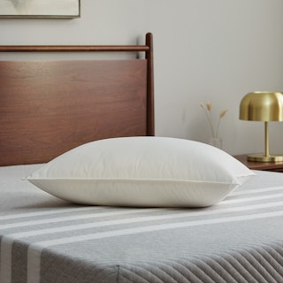 Dyna Standard Down Pillow