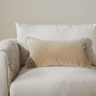 Lucca Velvet Small Pillow - Plush Pacific Taupe