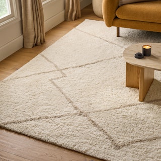 Dora 9 x 12 Rug - Textured Ivory