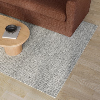 Bovi 6 x 9 Rug - Silver Gray