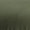 Color: Hale Fir Green and Smoked Oak
