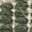 Color: Woodland Green