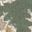 Color: Sea Green